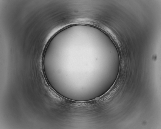 X0000100201336200806131221