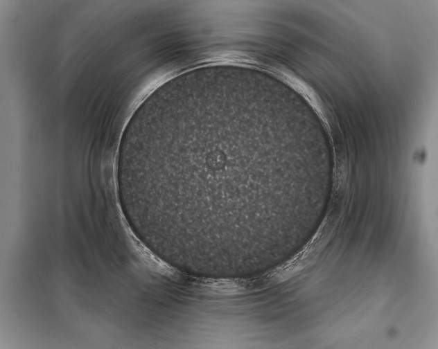 X0000100201338200806131221