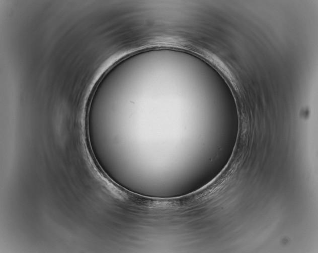 X0000100201339200806131221