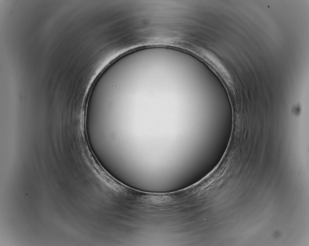 X0000100201340200806131221