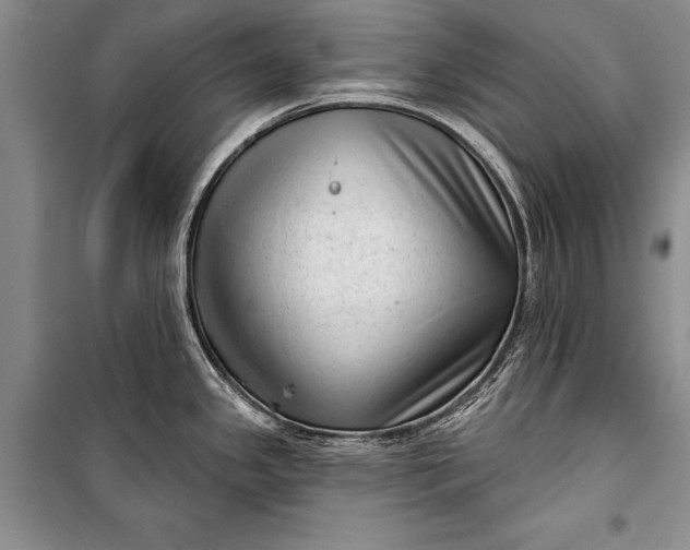 X0000100201341200806131221