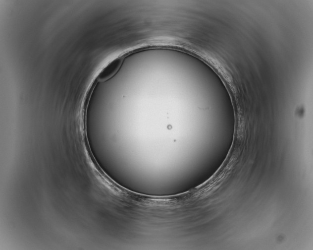 X0000100201342200806131221