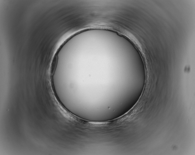 X0000100201344200806131221