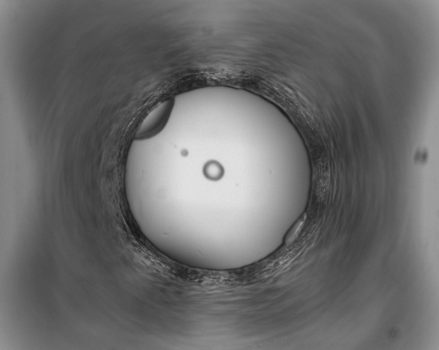 X0000100201345200806131220