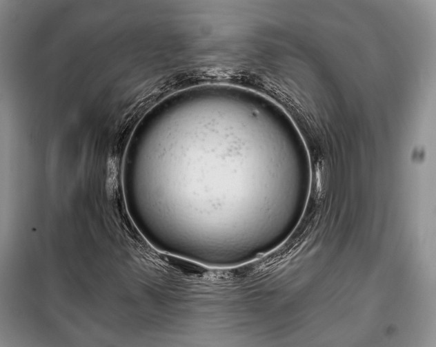 X0000100201347200806131220