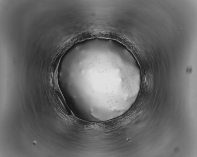 X0000100201348200806131220