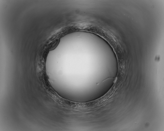 X0000100201349200806131220