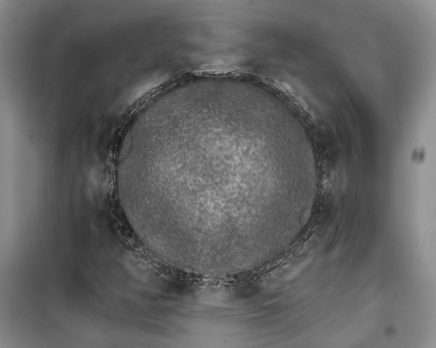 X0000100201350200806131220