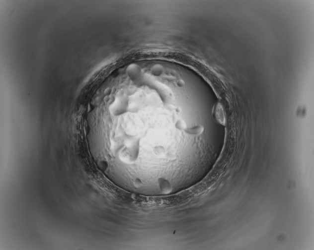 X0000100201351200806131220