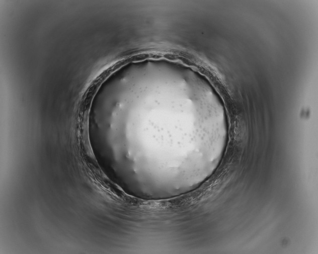 X0000100201352200806131220