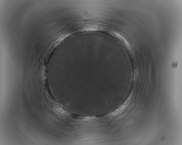 X0000100201353200806131220