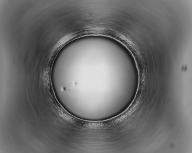 X0000100201354200806131220