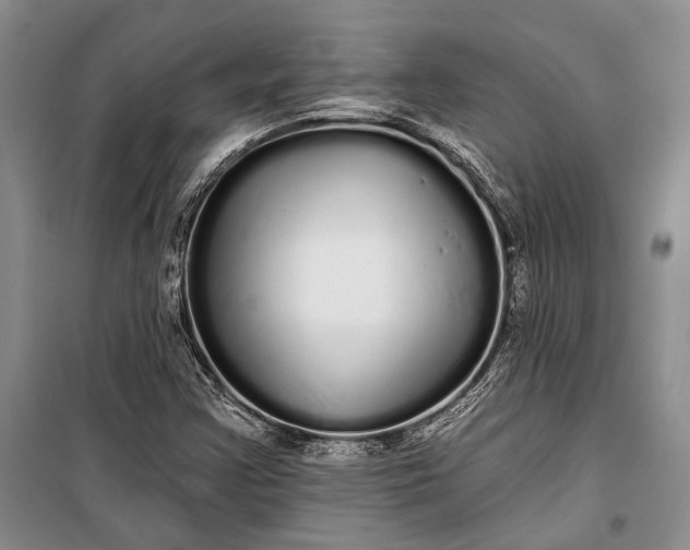 X0000100201355200806131220