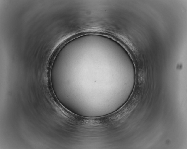 X0000100201356200806131220