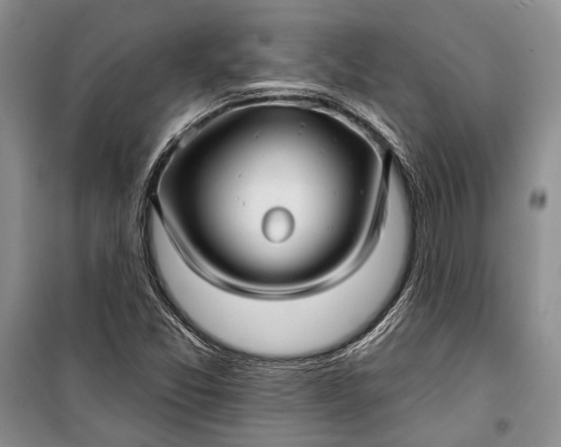 X0000100201357200806131220