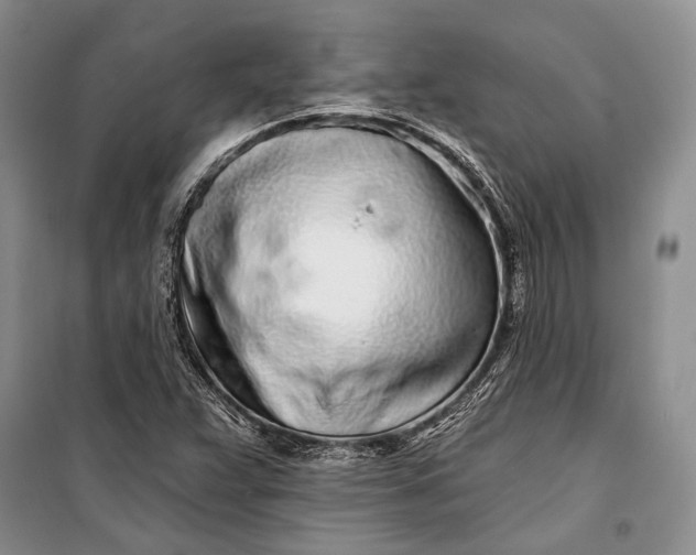 X0000100201359200806131220