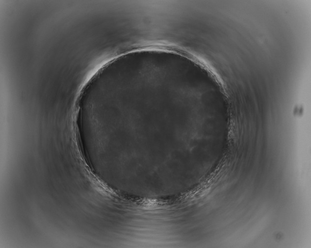 X0000100201360200806131220