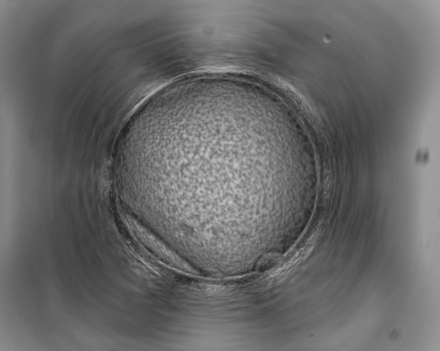 X0000100201361200806131220