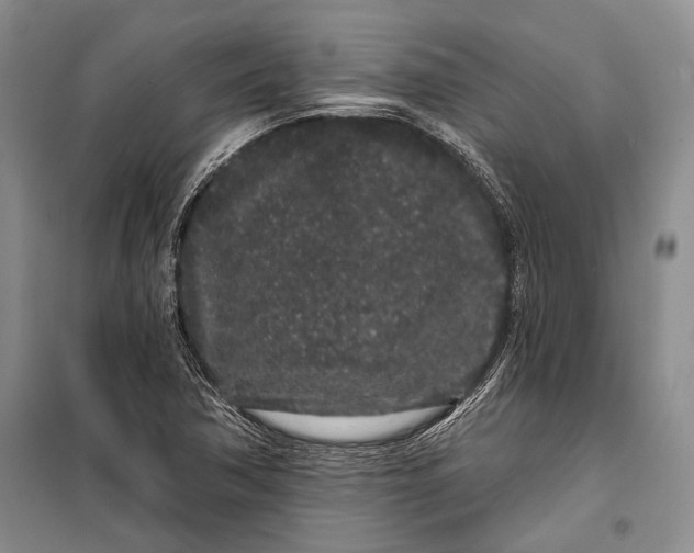 X0000100201362200806131220