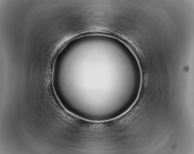 X0000100201363200806131220