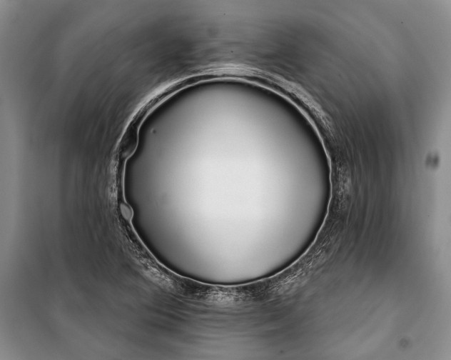 X0000100201364200806131220