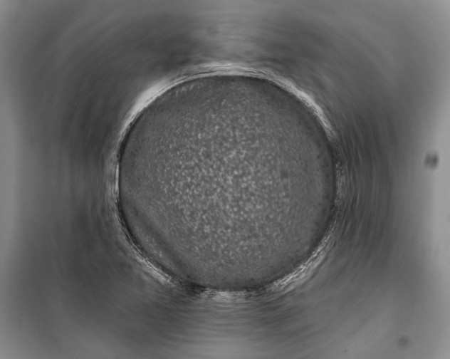 X0000100201365200806131220