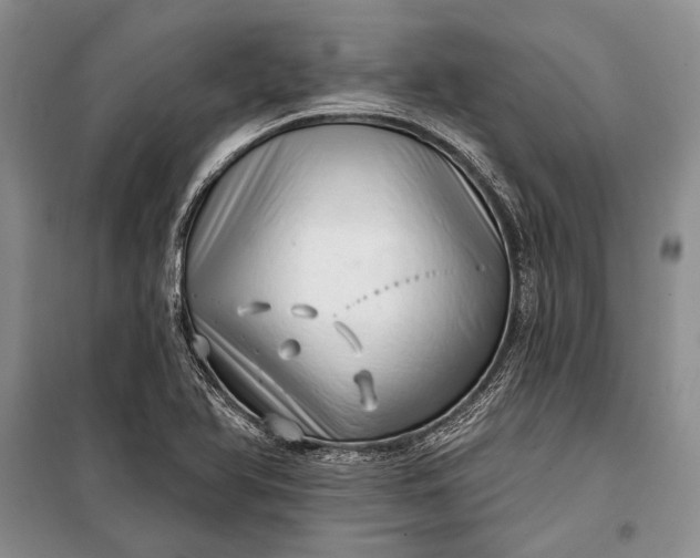 X0000100201366200806131220