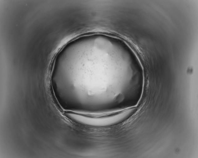 X0000100201367200806131220