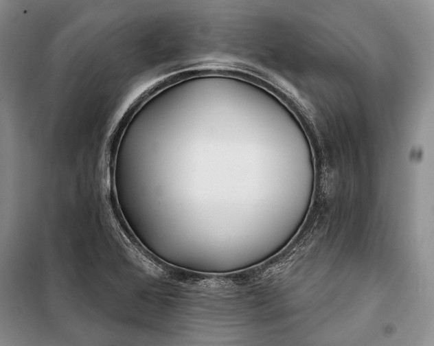 X0000100201368200806131220