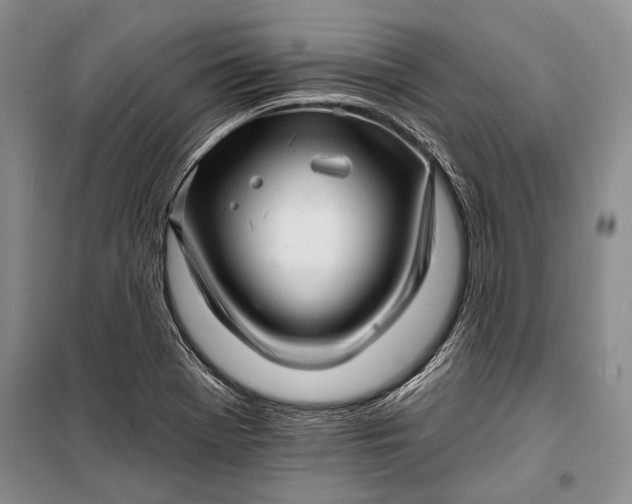 X0000100201369200806131220