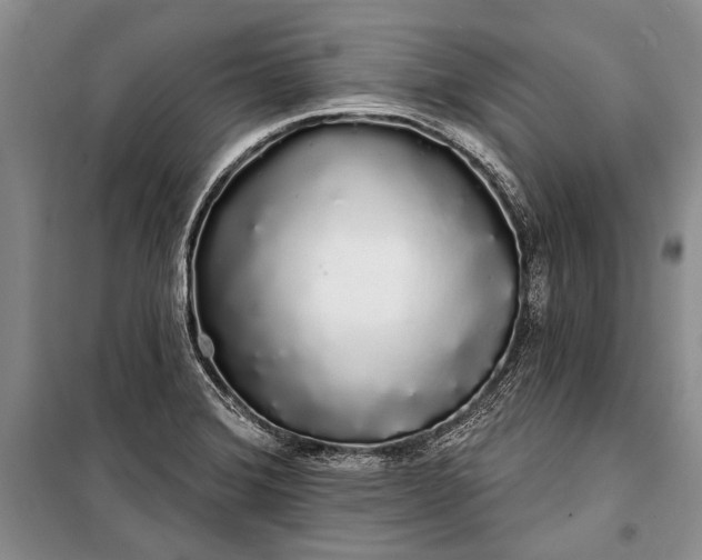 X0000100201372200806131220