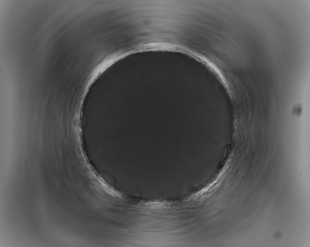 X0000100201373200806131220