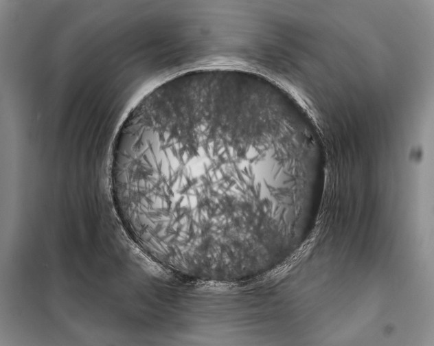 X0000100201374200806131220