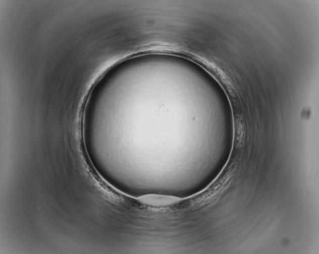 X0000100201375200806131220