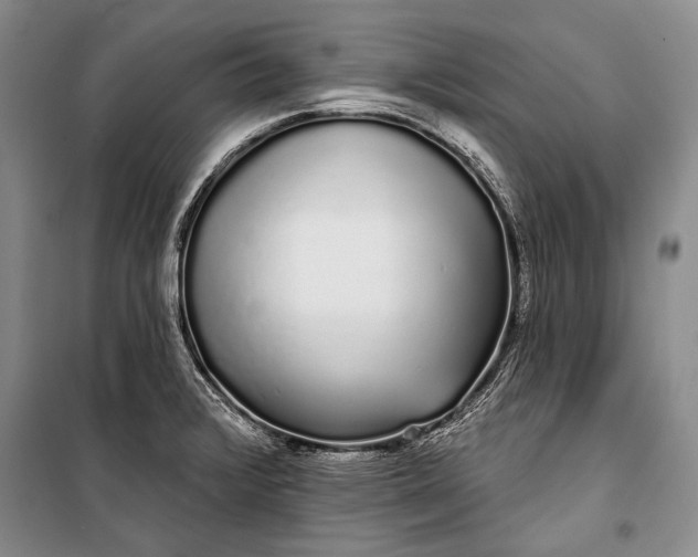 X0000100201376200806131220