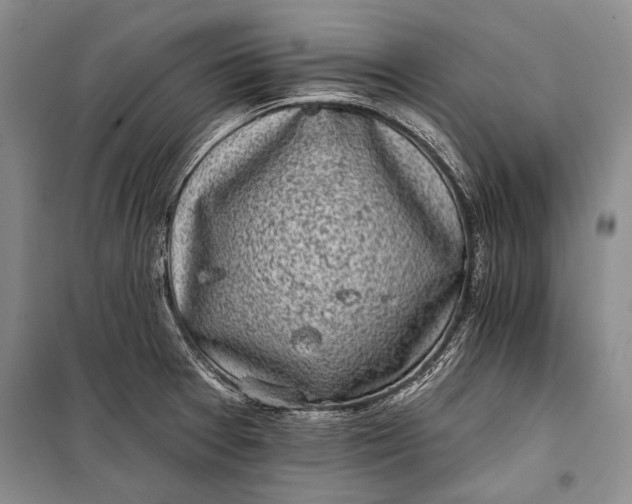 X0000100201377200806131220