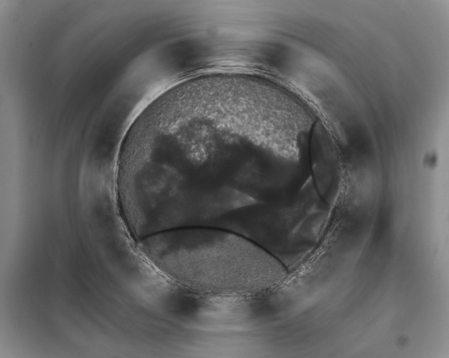 X0000100201378200806131220