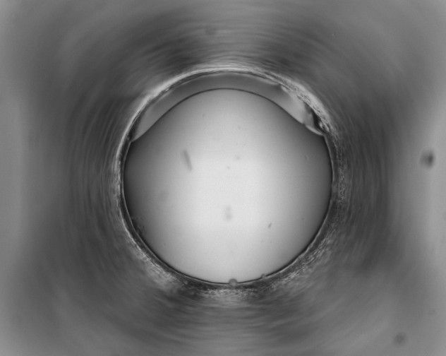 X0000100201380200806131220