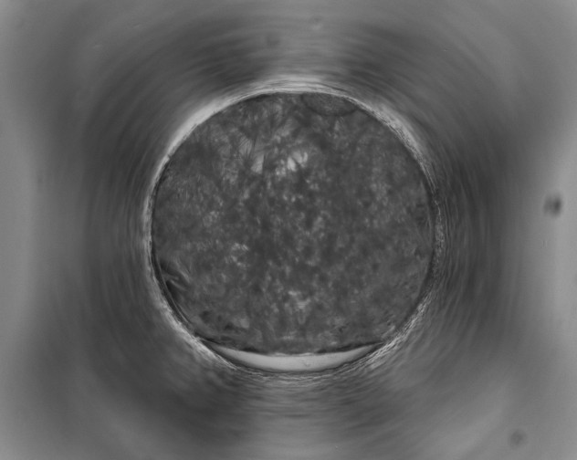 X0000100201382200806131220