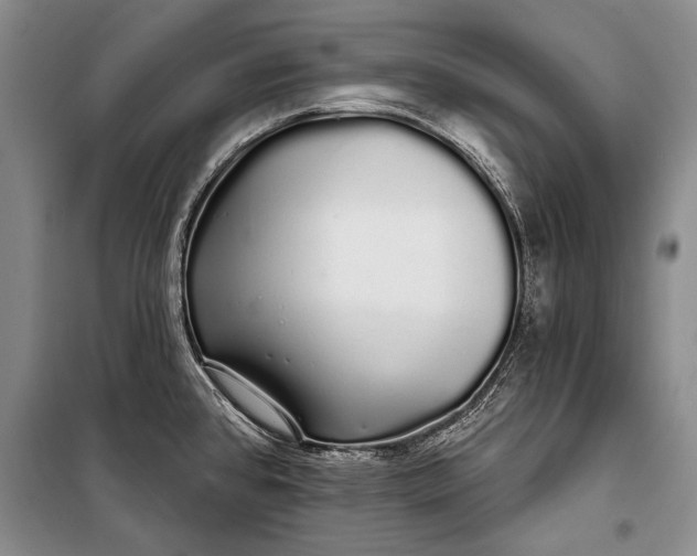 X0000100201384200806131220