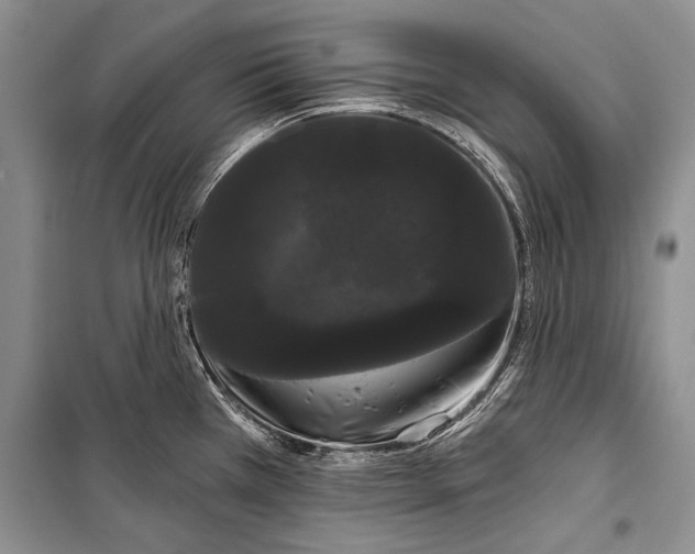 X0000100201385200806131220