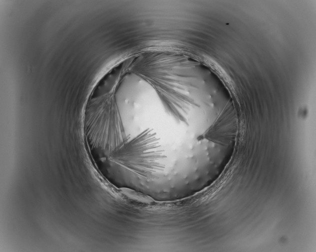 X0000100201386200806131220