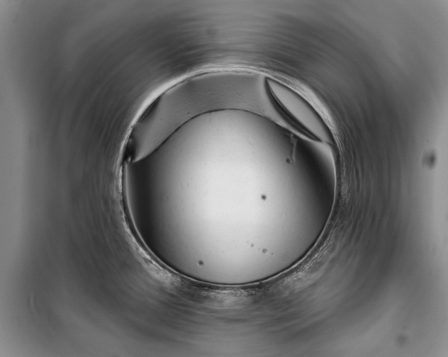 X0000100201388200806131220