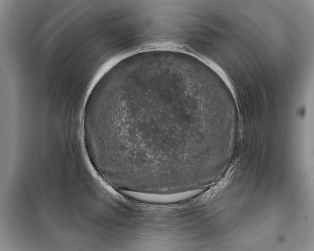 X0000100201389200806131220