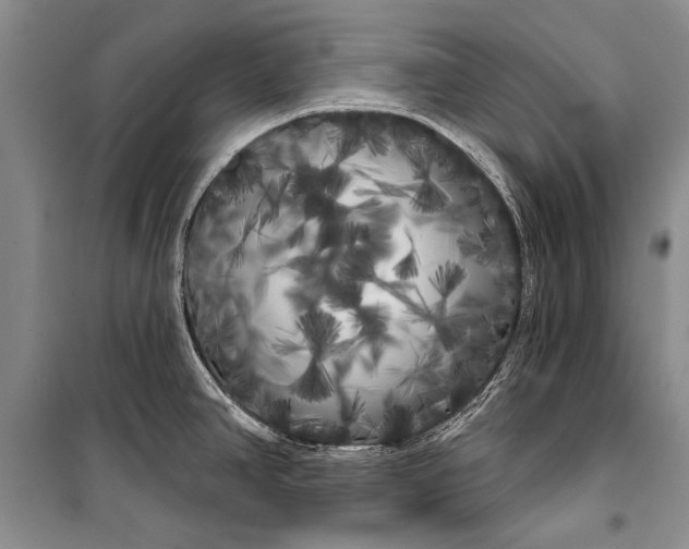 X0000100201390200806131220