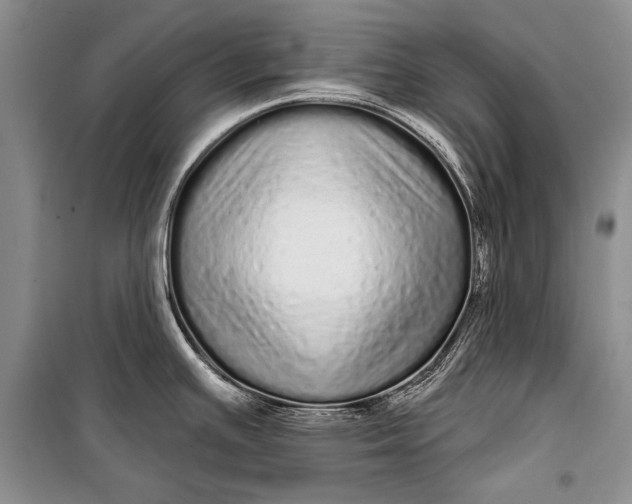 X0000100201391200806131220