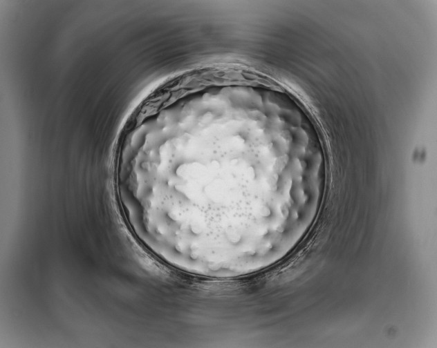 X0000100201392200806131220