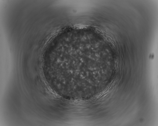 X0000100201393200806131219