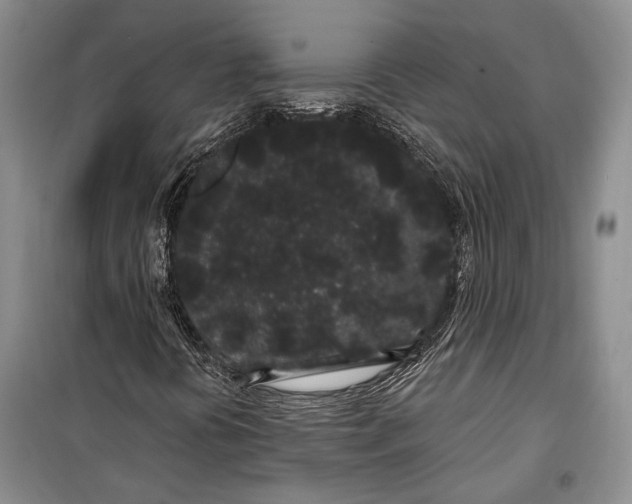 X0000100201394200806131219