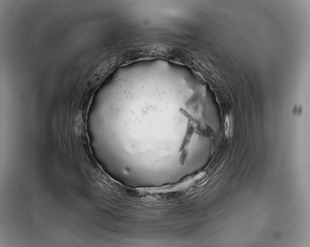 X0000100201395200806131219